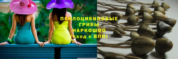 альфа пвп Ахтубинск